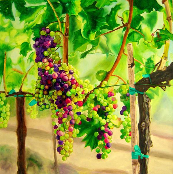 baehner-fournier-vineyards-four-maude-and-al-caredio